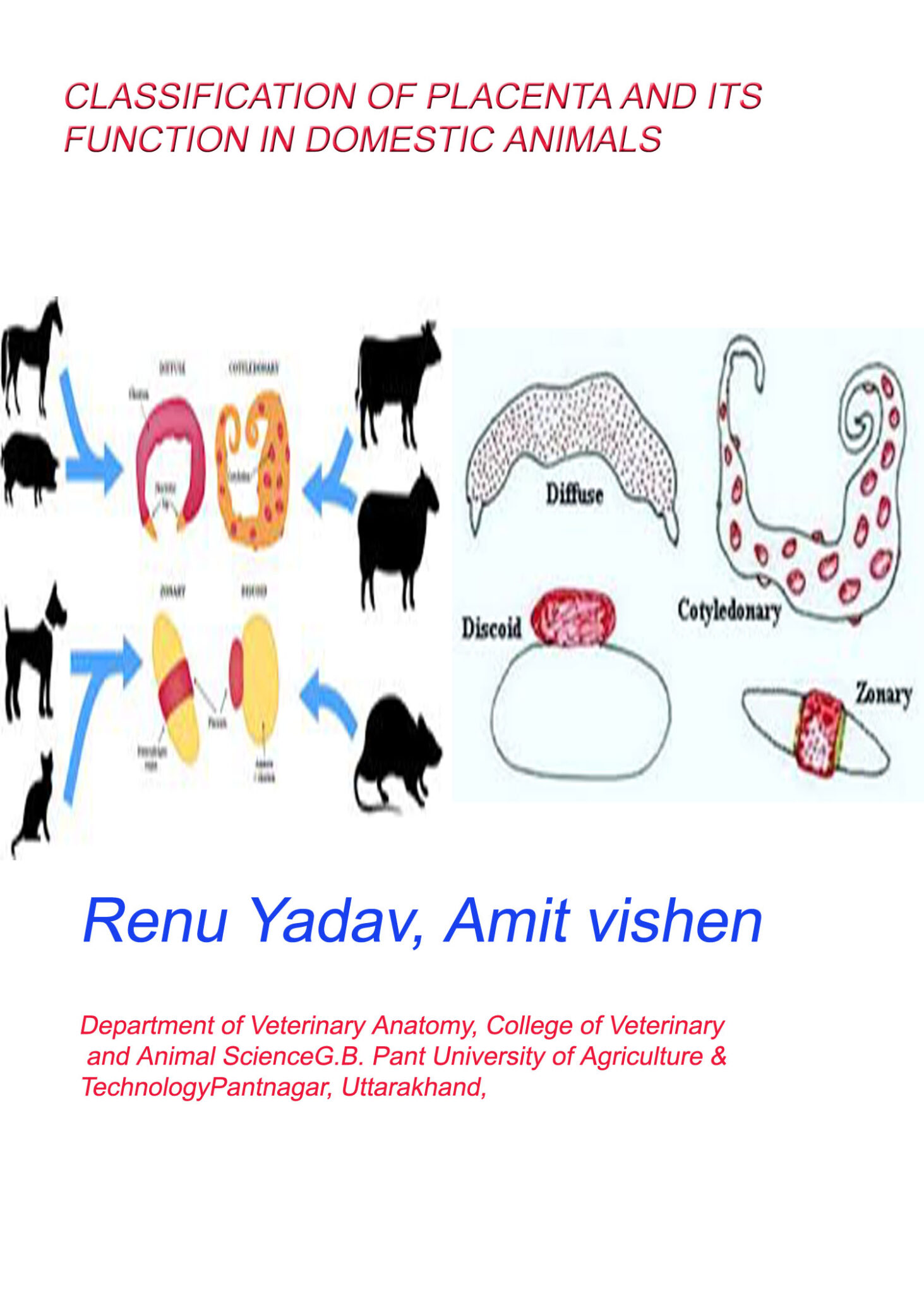 CLASSIFICATION OF PLACENTA AND ITS FUNCTION IN DOMESTIC ANIMALS