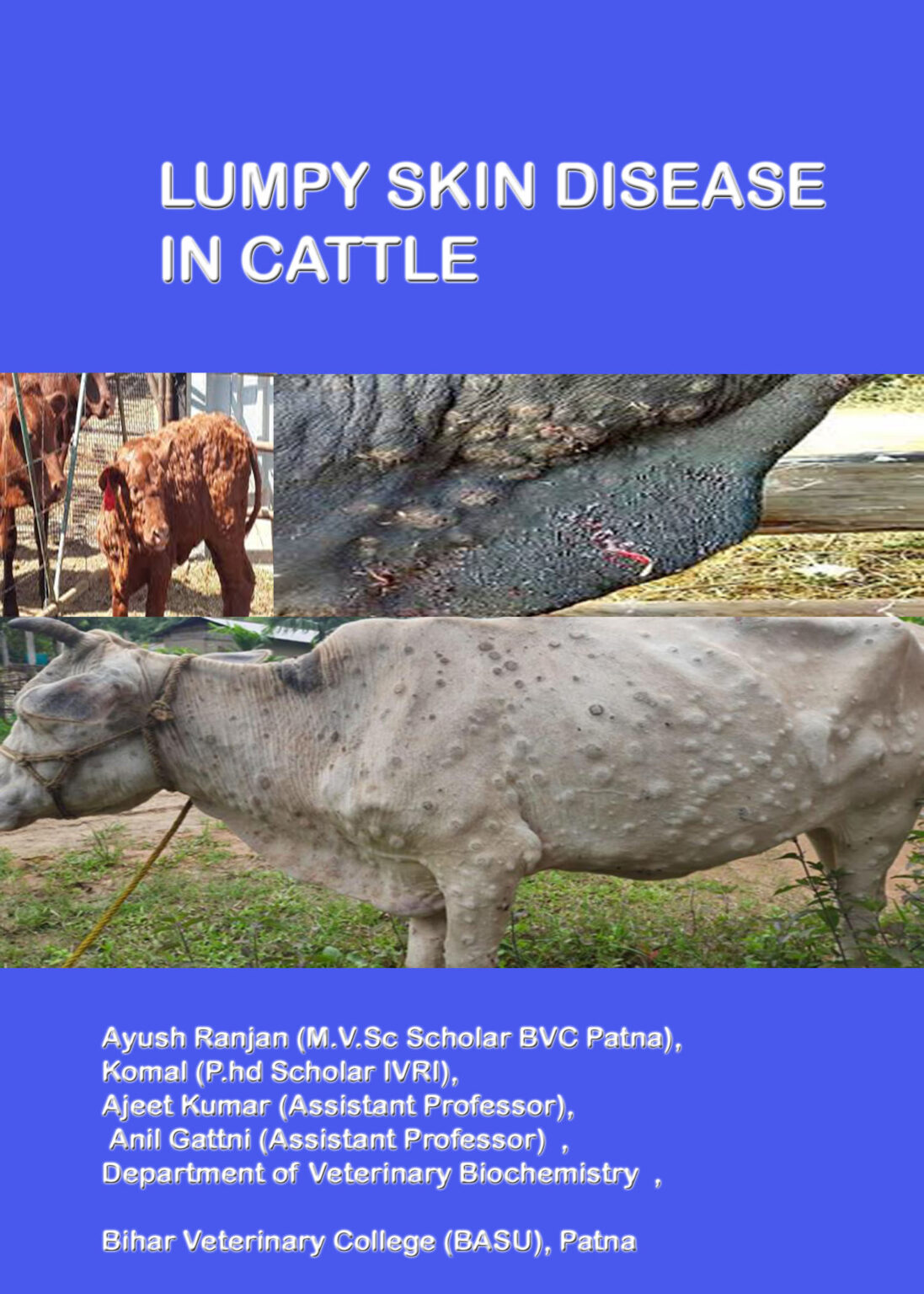 LUMPY SKIN DISEASE IN CATTLE Pashudhan Praharee