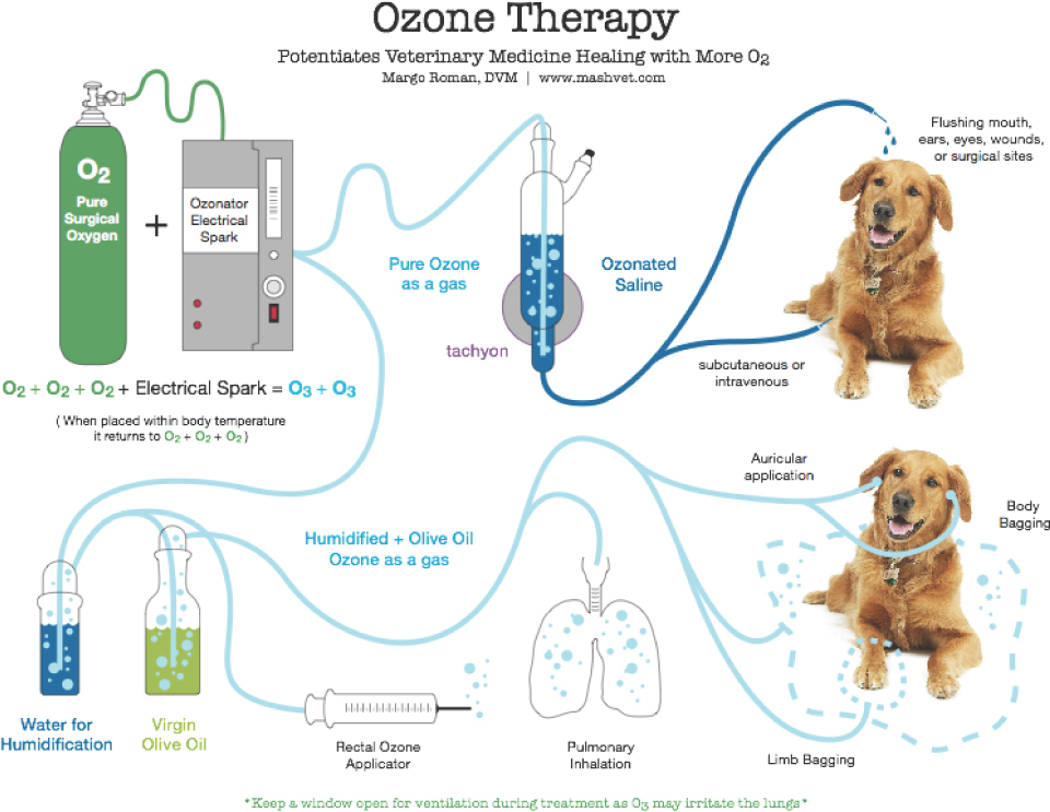 APPLICATION OF OZONE THERAPY IN VETERINARY FIELD