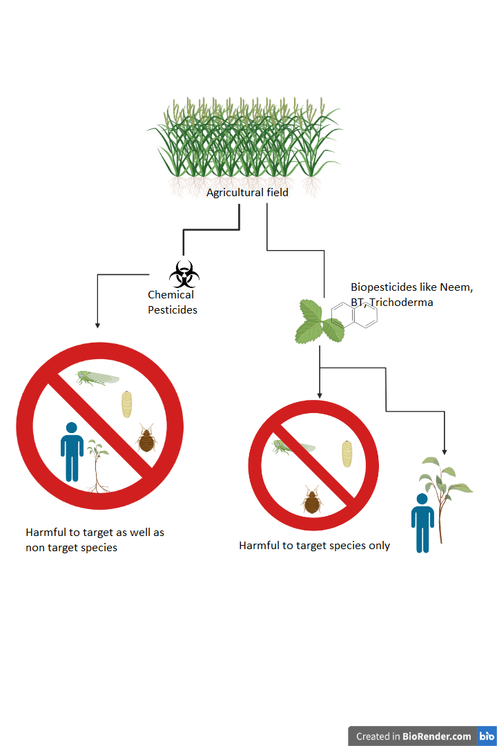 Use Of Biopesticides In Modern Agriculture