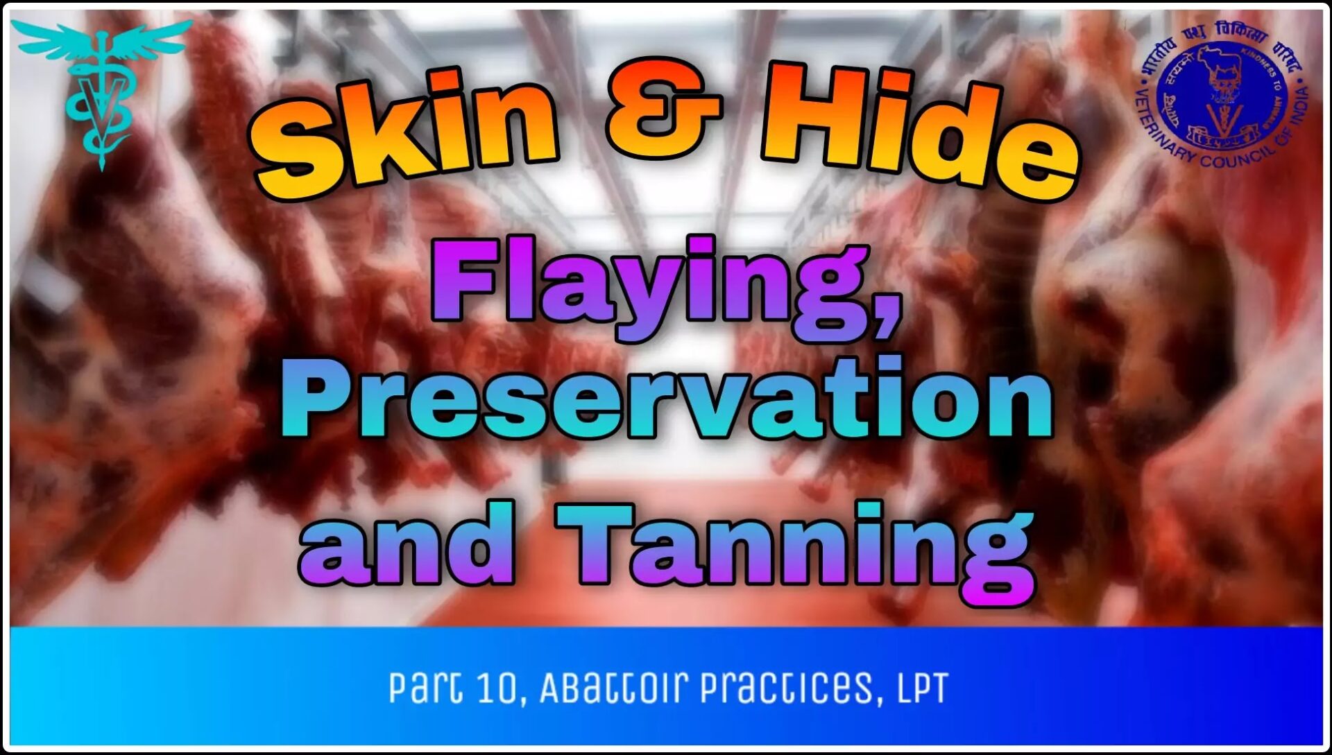 PROCEDURE FOR PRESERVATION OF HIDE AND SKIN Pashudhan Praharee Pet