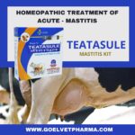 homeopathic-treatment-of-mastitis2625511994649683730..jpg