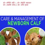 CARE & management of newborn calf