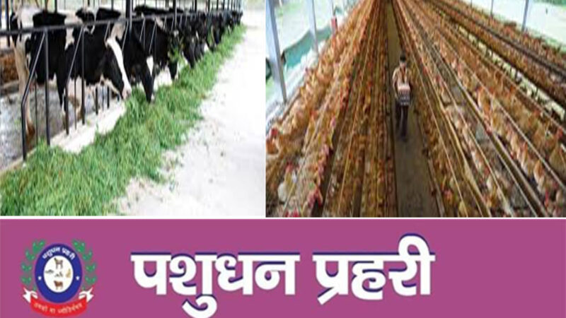 income-tax-dairy-poultry-india