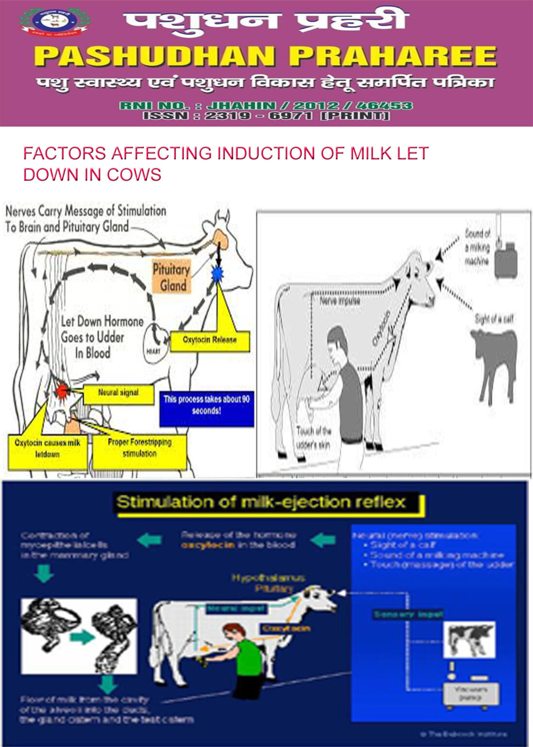 factors-affecting-induction-of-milk-let-down-in-cows-pashudhan-praharee