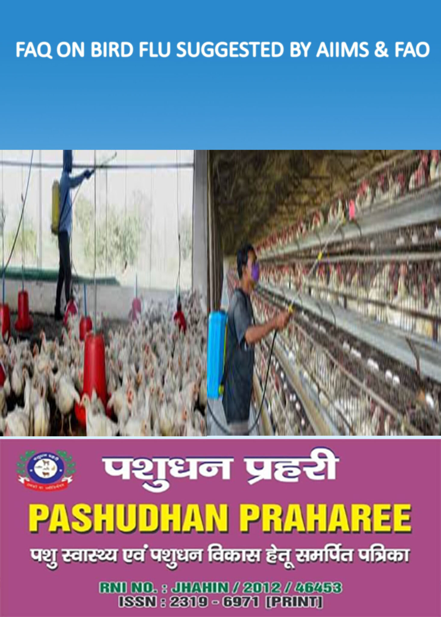 FAQ ON BIRD FLU SUGGESTED BY AIIMS & FAO | Pashudhan Praharee