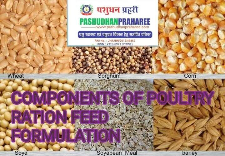 poultry nutrition | Pashudhan praharee