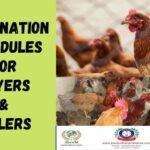 Vaccination Programs in Poultry copy