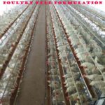 poultry feed formulae copy.pjpg