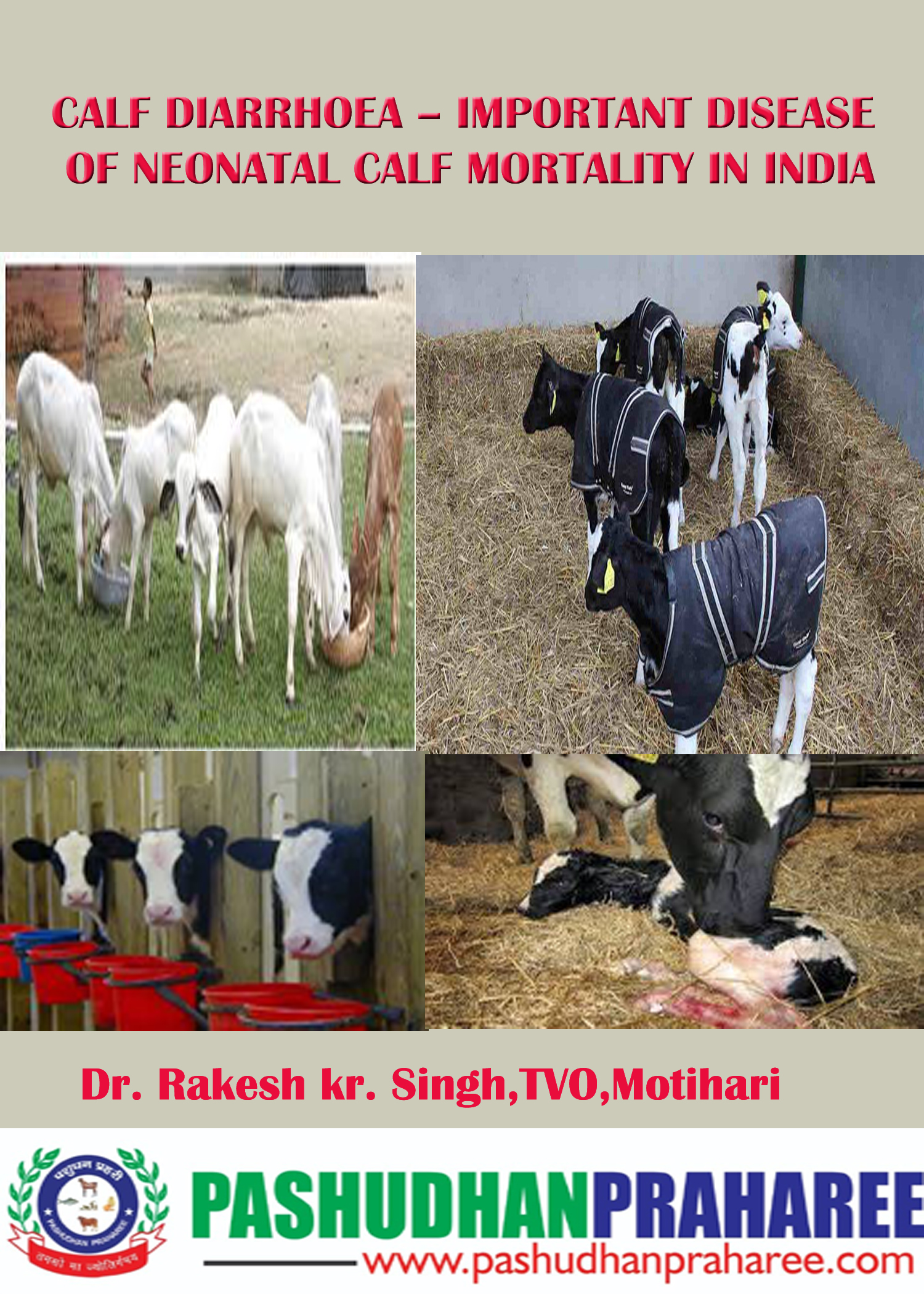 CALF DIARRHOEA – IMPORTANT DISEASE OF NEONATAL CALF MORTALITY IN INDIA ...