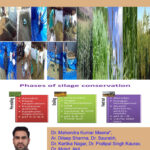 Conservation of Fodder