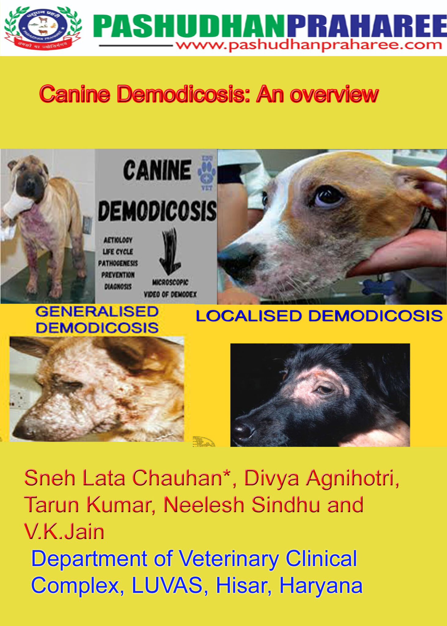 Canine Demodicosis | Pashudhan Praharee