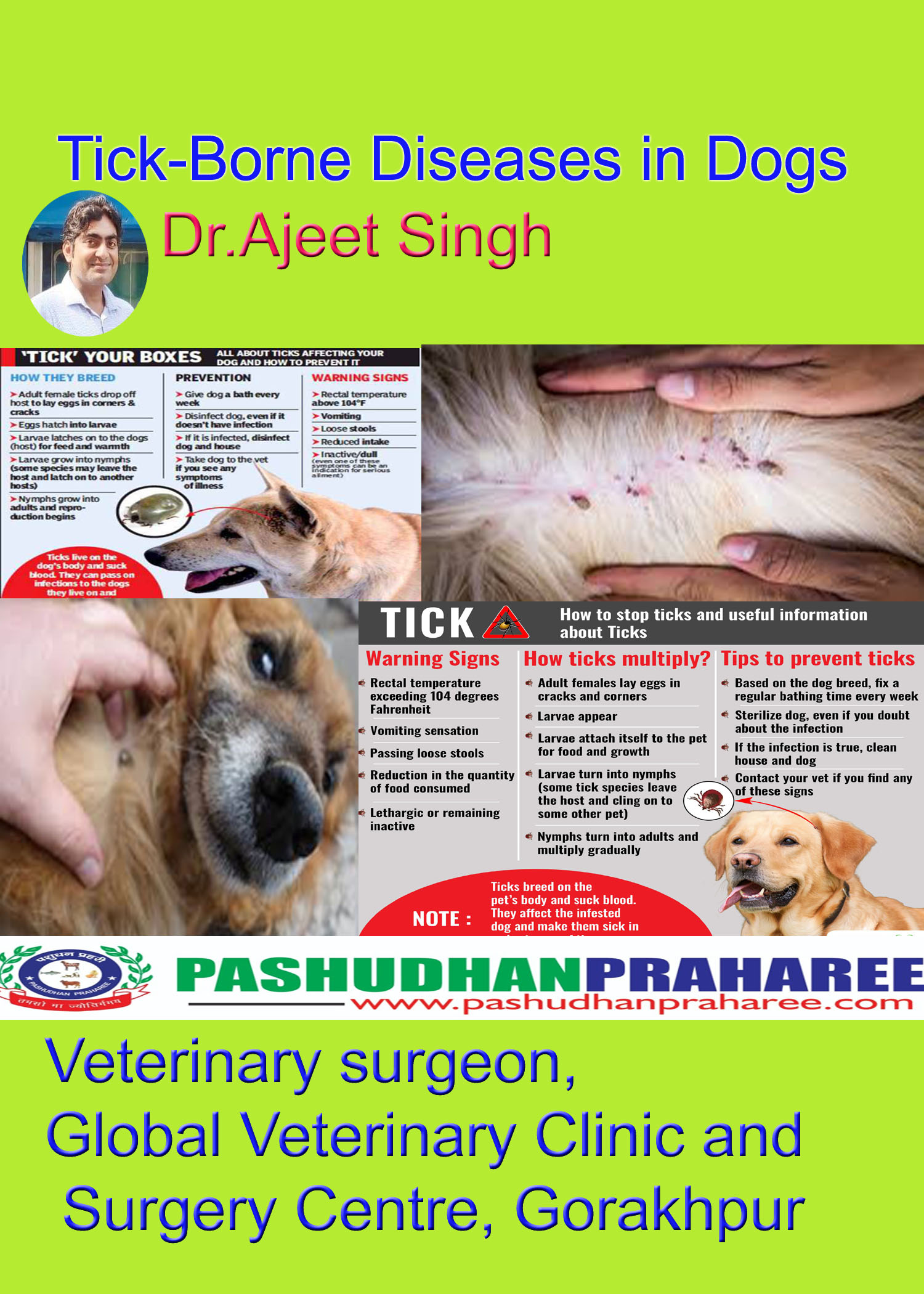 Symptoms Of Tick Fever In Dogs