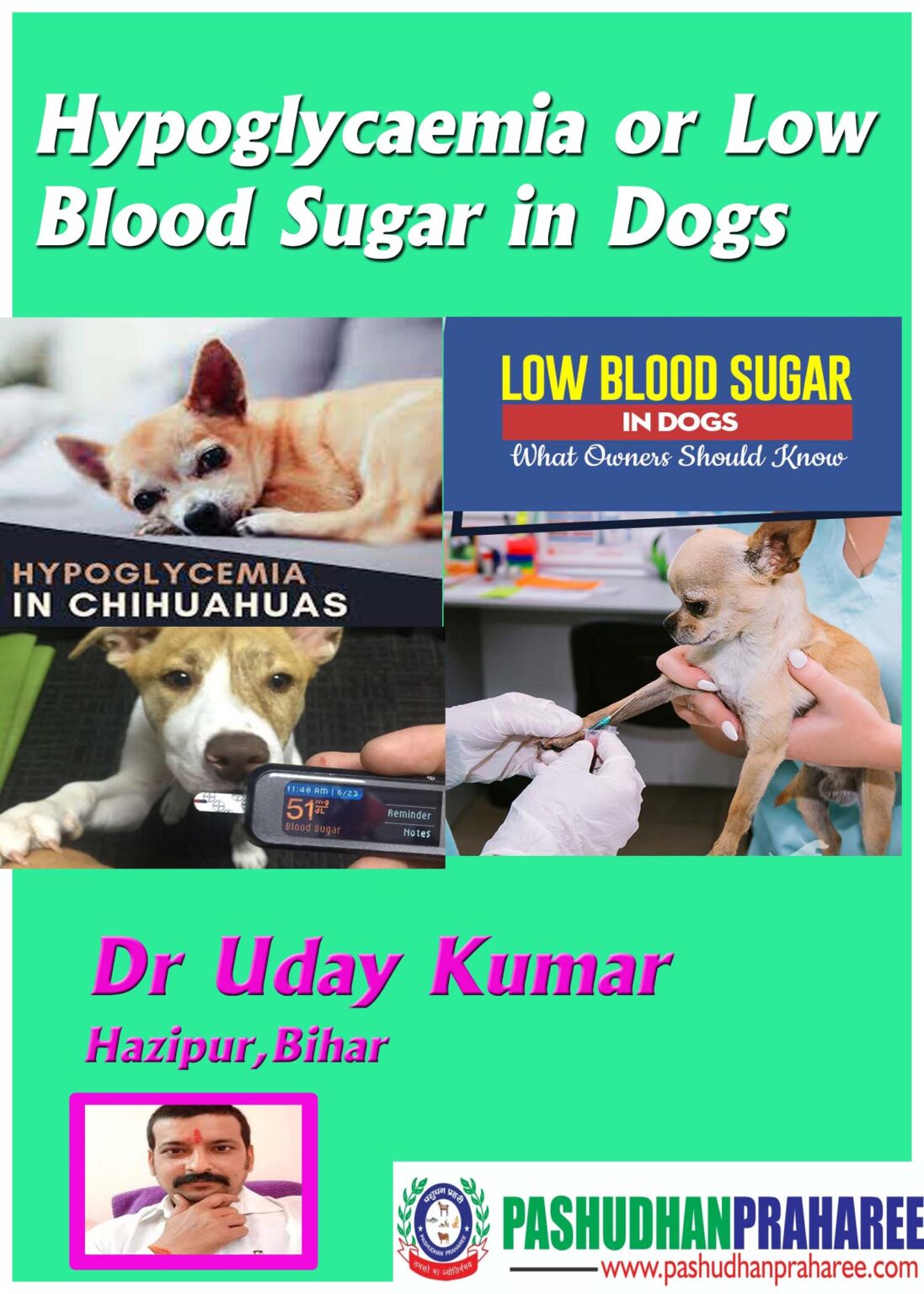 hypoglycaemia-or-low-blood-sugar-in-dogs-pashudhan-praharee