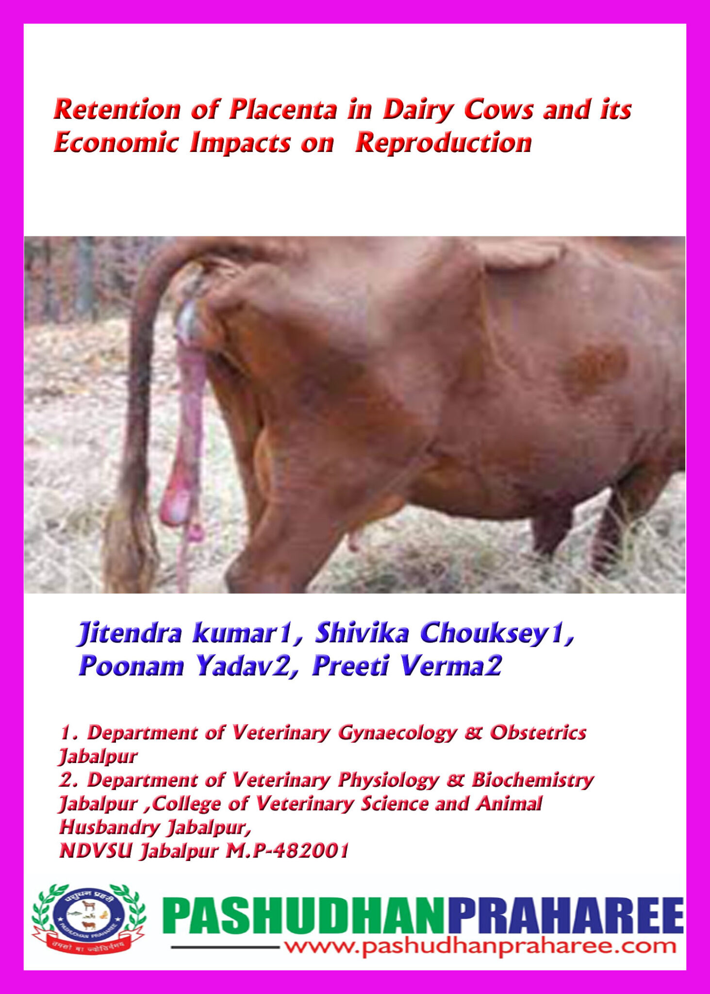 Retention Of Placenta In Dairy Cows And Its Economic Impacts On Reproduction Pashudhan Praharee