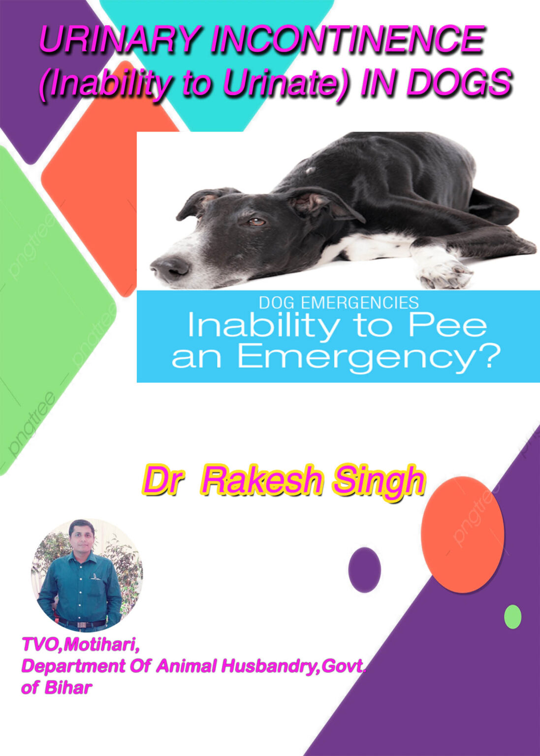 urinary-incontinence-inability-to-urinate-in-dogs-pashudhan-praharee