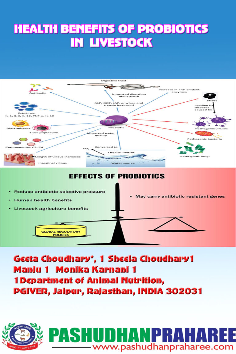 Health Benefits Of Probiotics In Livestock