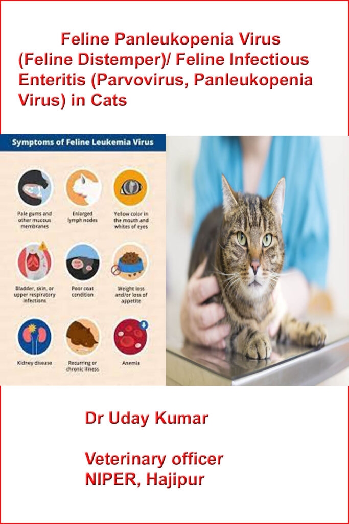 Feline Panleukopenia Virus(Feline Distemper)/ Feline Infect