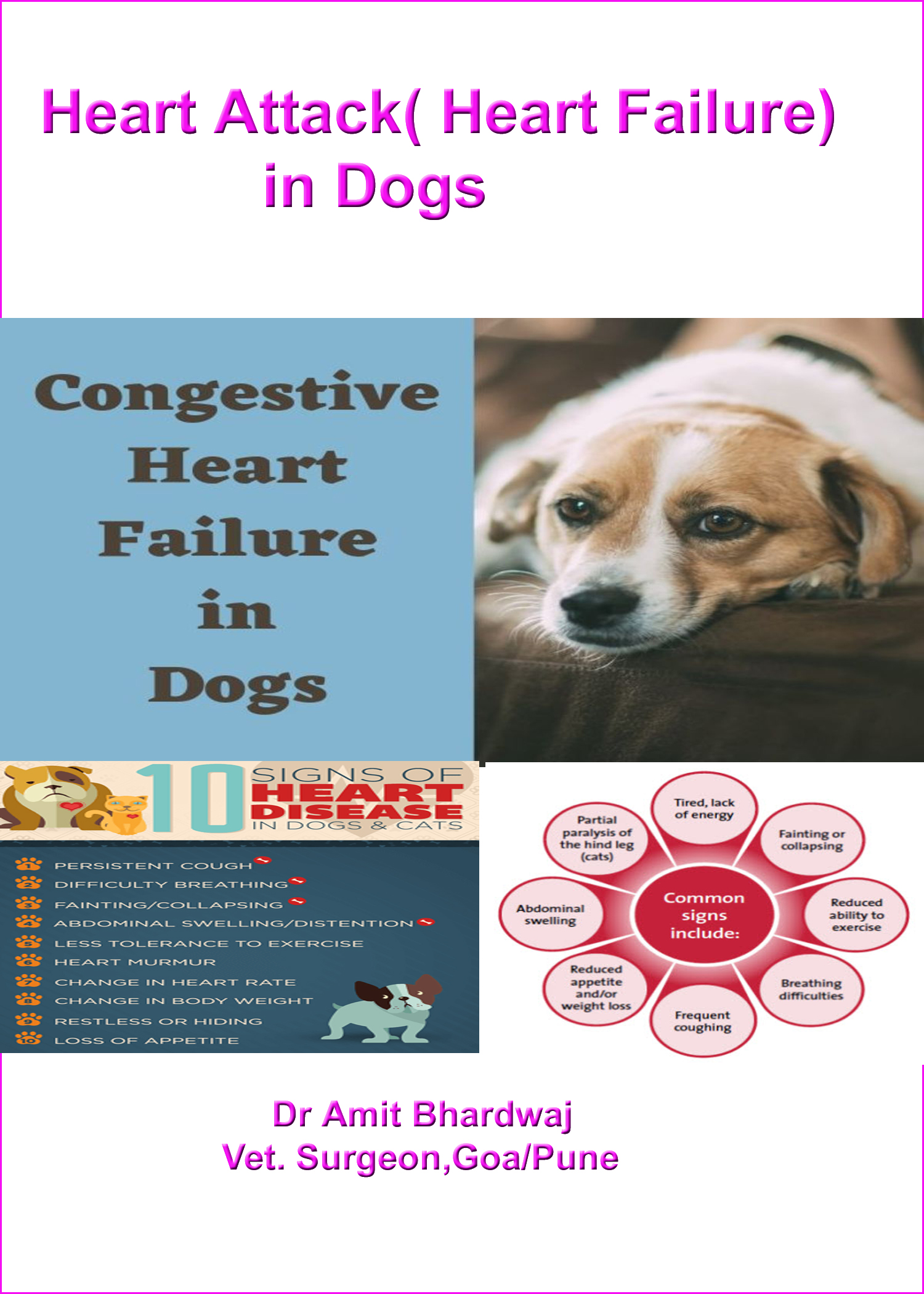 what are the signs of heart failure in a dog