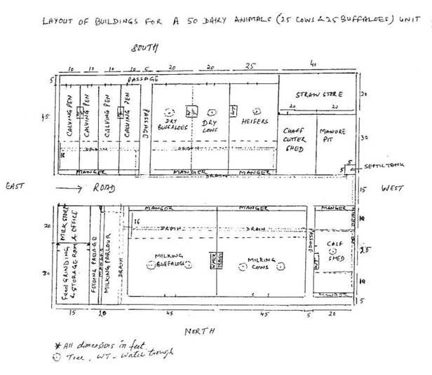 principles-bis-recomendation-and-layout-design-of-dairy-cattle-and