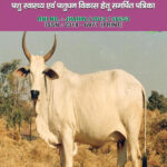 MALWI COW