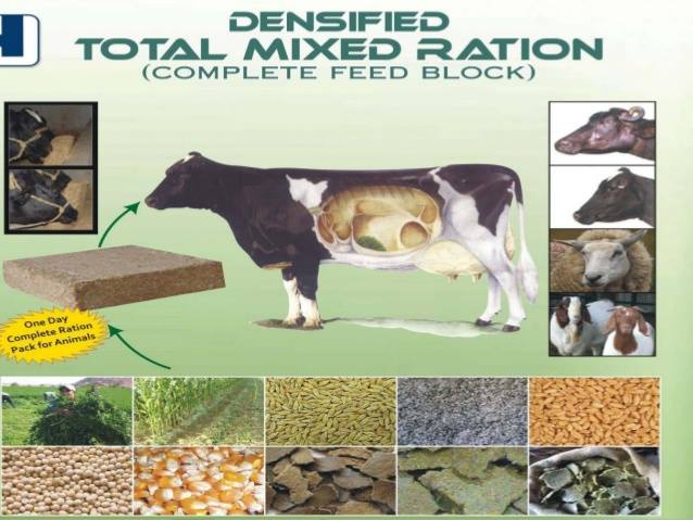 TOTAL MIXED RATIONS (TMR) -A NEW TRENDS IN FEEDING