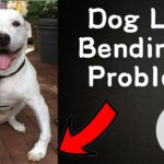 DOG LEG BENDING PROBLEM1