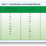 ESSENTIAL MINERALS