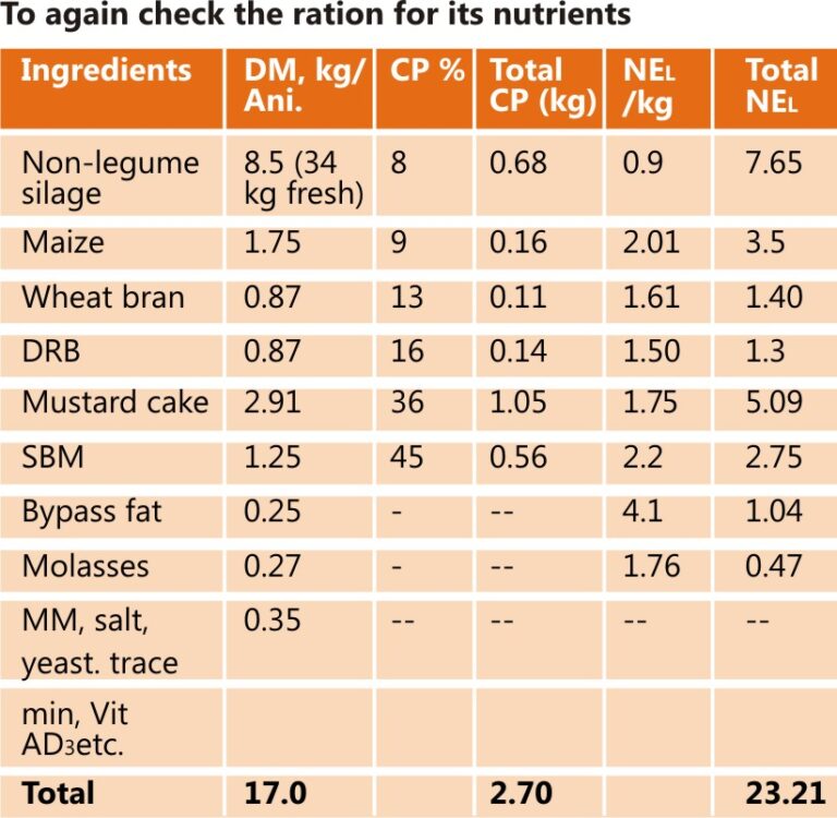 how-to-prepare-total-mixed-ration-tmr-for-dairy-cattle