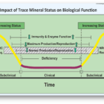 TRACE MINERAL BIOLOGICAL FUNCTION