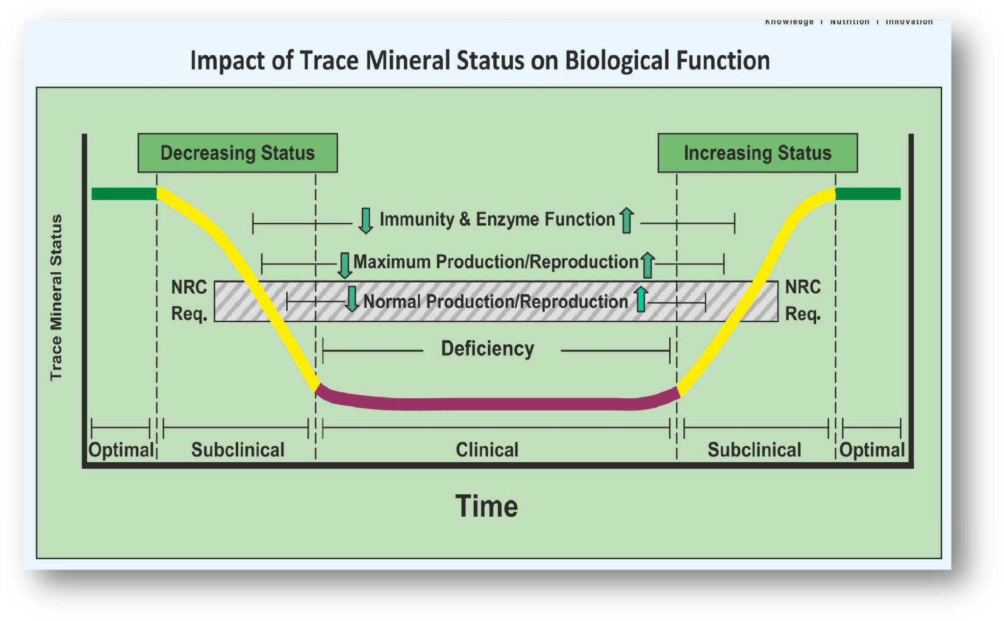 Role Of Macro And Micro Minerals In Improving Reproductive Performance