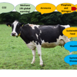 Challenges in sustainable dairy farming