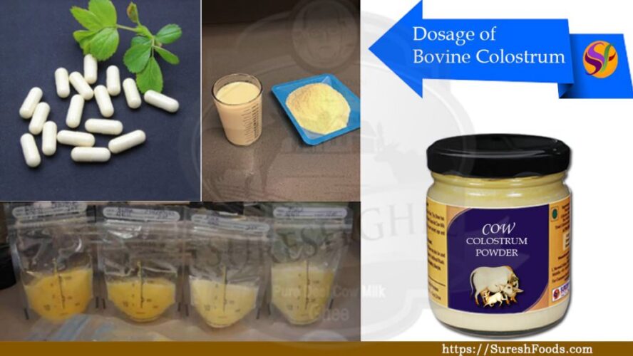 IMPORTANCE OF BOVINE COLOSTRUM FOR HUMAN HEALTH & NUTRITION