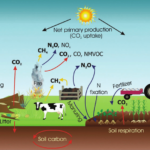 Greenhouse gas emission