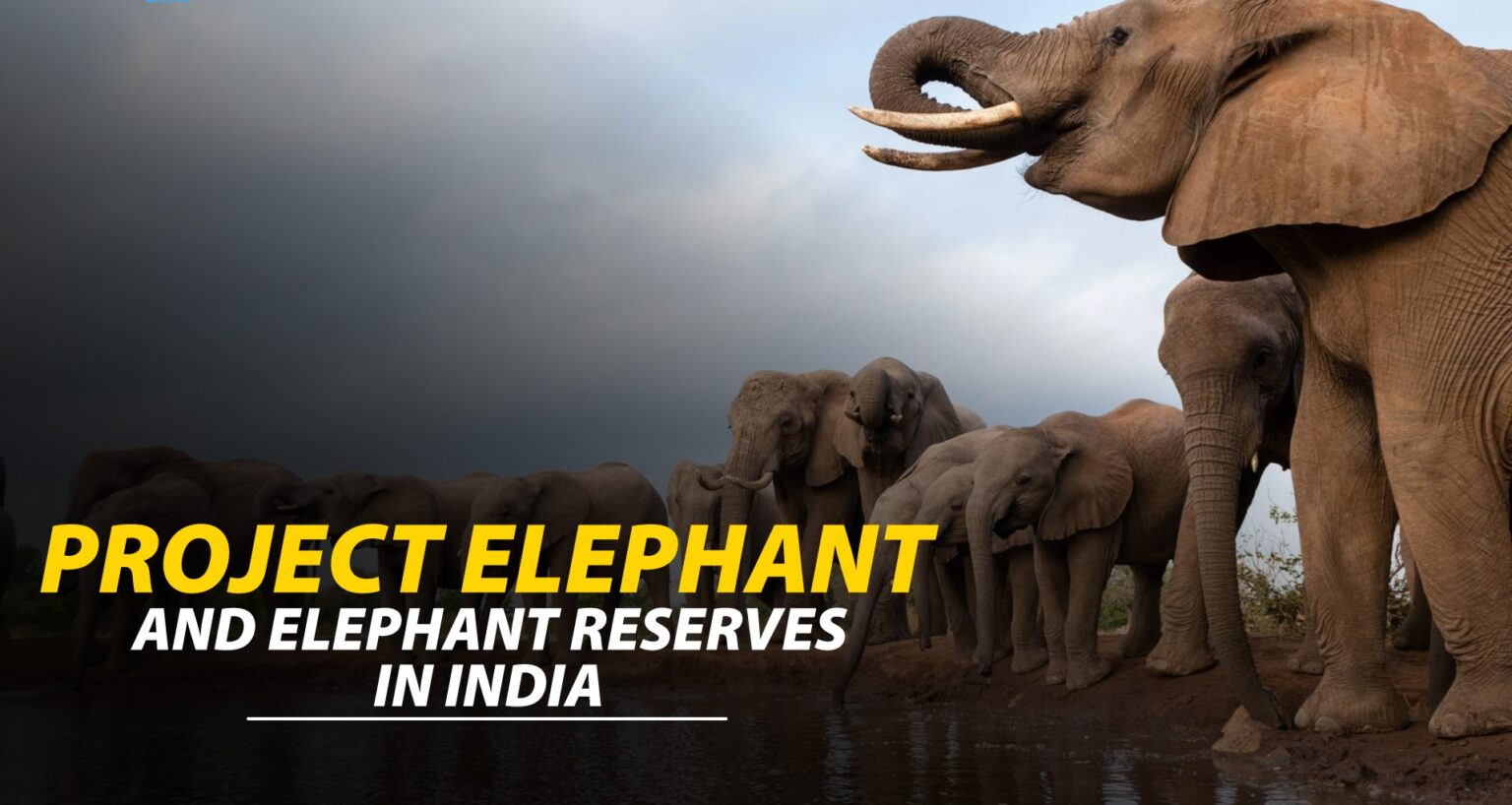 Project Elephant of India