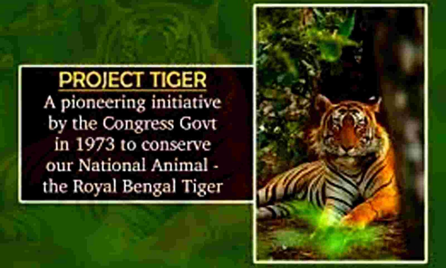 essay on project tiger of karnataka