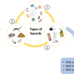 Poor microbiological quality of milk and milk products