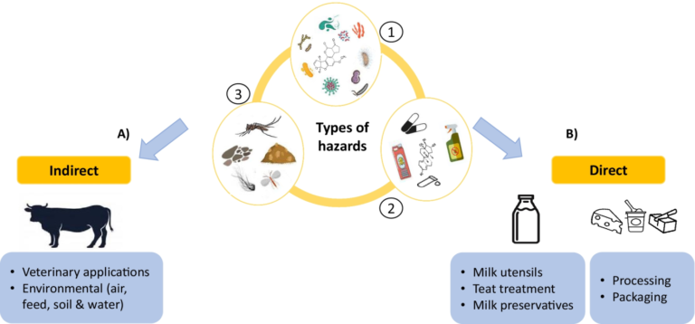 Challenges And Strategies For Sustainable Dairy Farming In India