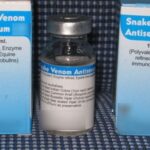 Antivenom therapy