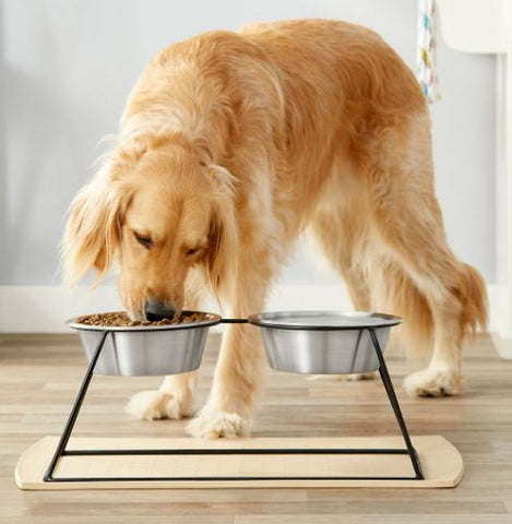 Should I Be Using An Elevated Bowl To Feed My Dog?