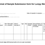 FORMAT FOR SAMPLE SUBMISSION-LSD