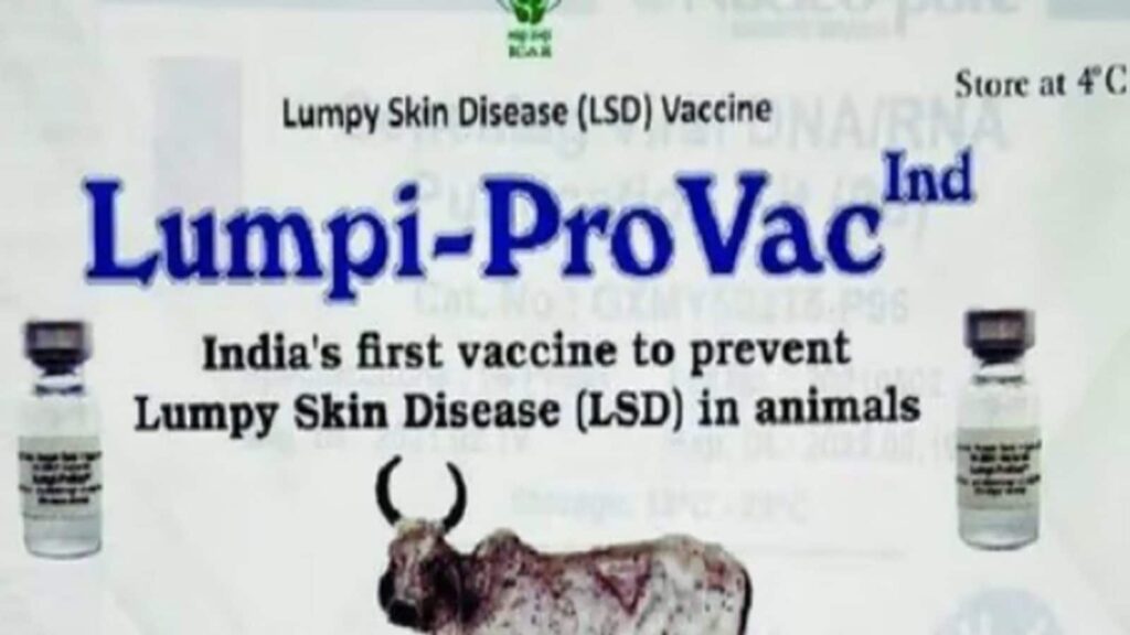 Indigenous Vaccine Against Lumpy Skin Disease To Hit Markets Soon ICAR   Lumpi ProVacInd 1024x576 