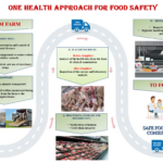 One Health approach for Food Safety