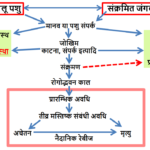 TRANSMISSION OF RABIES