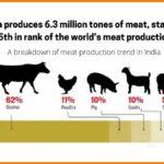 Meat Industry in India