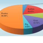 Species-wise meat contribution across the country