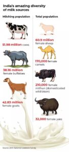 Potential of Non-Bovine Milk (NBM) in India: Sources and Future ...