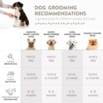 Grooming Dogs