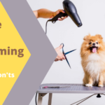 Grooming Dogs