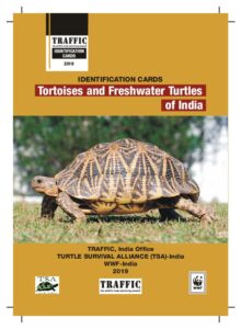 Tortoises and Freshwater Turtles of India | Pashudhan praharee